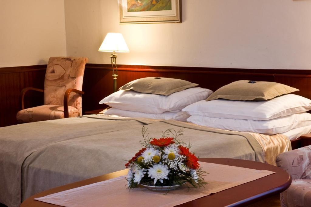 Monti Spa Františkovy Lázně Pokój zdjęcie