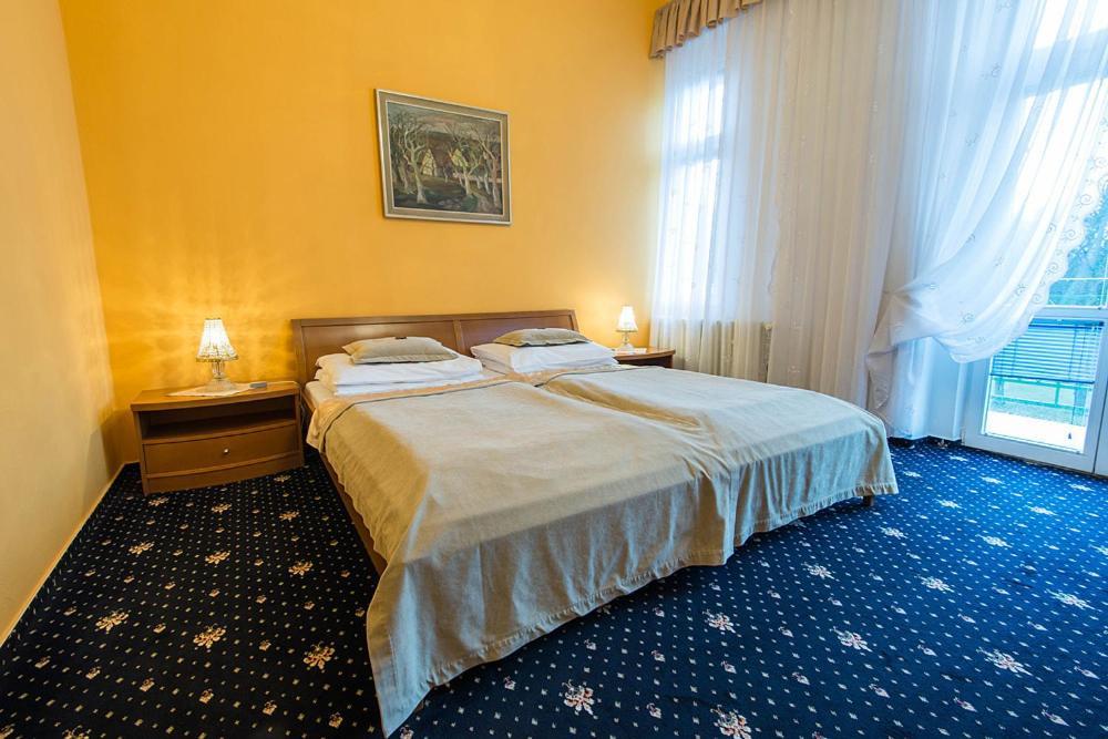 Monti Spa Františkovy Lázně Pokój zdjęcie